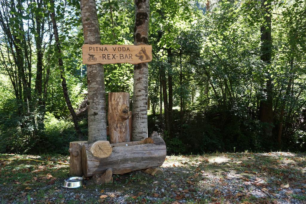 Guest House Gostisce Gacnk V Logu Cerkno Eksteriør bilde